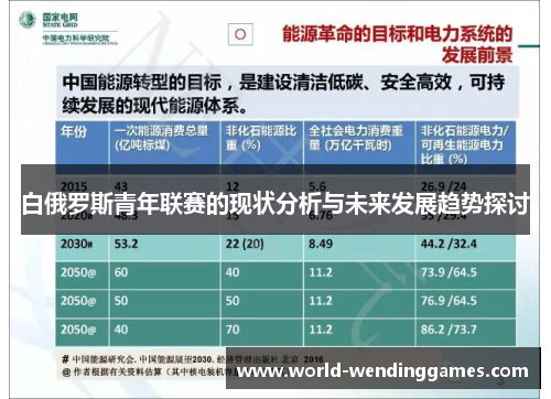 白俄罗斯青年联赛的现状分析与未来发展趋势探讨