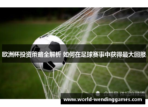 欧洲杯投资策略全解析 如何在足球赛事中获得最大回报
