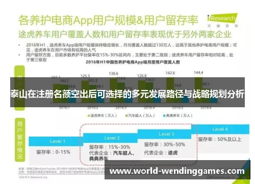 泰山在注册名额空出后可选择的多元发展路径与战略规划分析
