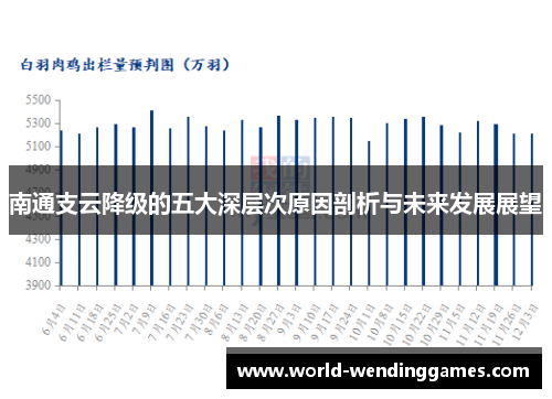 南通支云降级的五大深层次原因剖析与未来发展展望