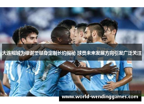 大连鲲城为穆谢奎量身定制长约揭秘 球员未来发展方向引发广泛关注