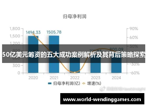 50亿美元筹资的五大成功案例解析及其背后策略探索