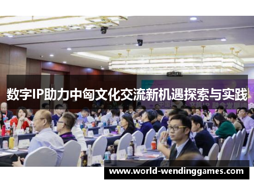 数字IP助力中匈文化交流新机遇探索与实践