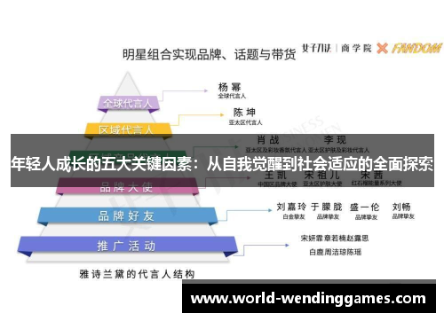年轻人成长的五大关键因素：从自我觉醒到社会适应的全面探索