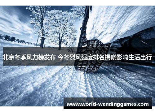 北京冬季风力榜发布 今冬烈风强度排名揭晓影响生活出行