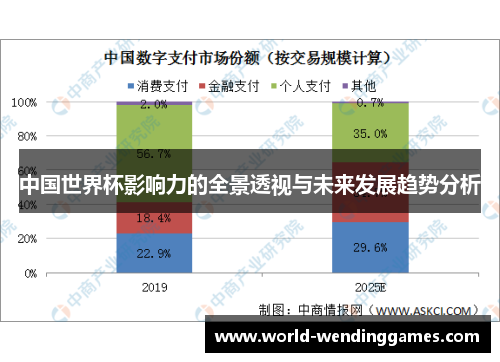 中国世界杯影响力的全景透视与未来发展趋势分析