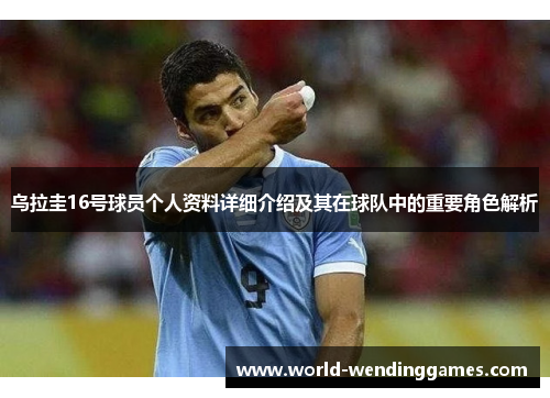 乌拉圭16号球员个人资料详细介绍及其在球队中的重要角色解析
