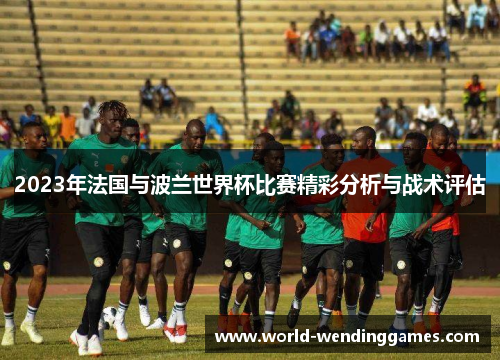 2023年法国与波兰世界杯比赛精彩分析与战术评估 2023年法国与波兰世界杯比赛精彩分析与战术评估