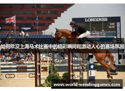 如何欣赏上海马术比赛中的精彩瞬间和激动人心的赛场氛围