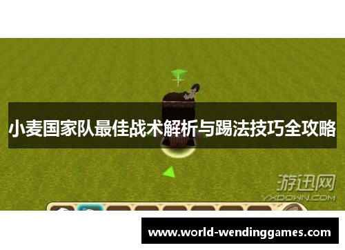 小麦国家队最佳战术解析与踢法技巧全攻略