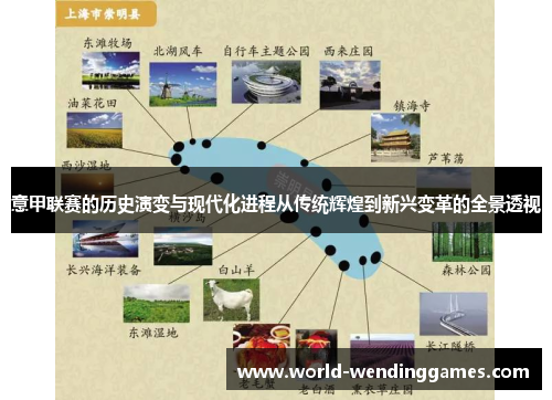 意甲联赛的历史演变与现代化进程从传统辉煌到新兴变革的全景透视