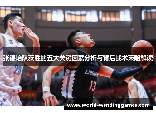 张德培队获胜的五大关键因素分析与背后战术策略解读