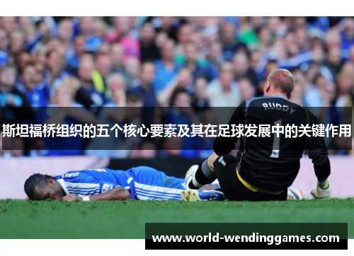 斯坦福桥组织的五个核心要素及其在足球发展中的关键作用