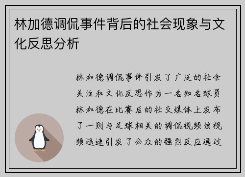 林加德调侃事件背后的社会现象与文化反思分析
